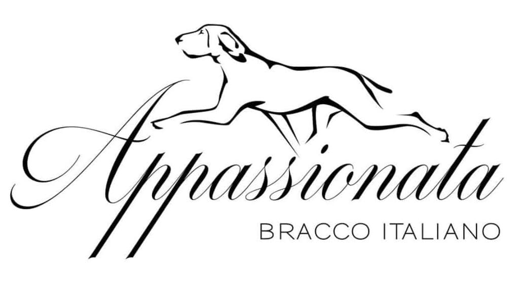 Appassionata Bracco Italiano